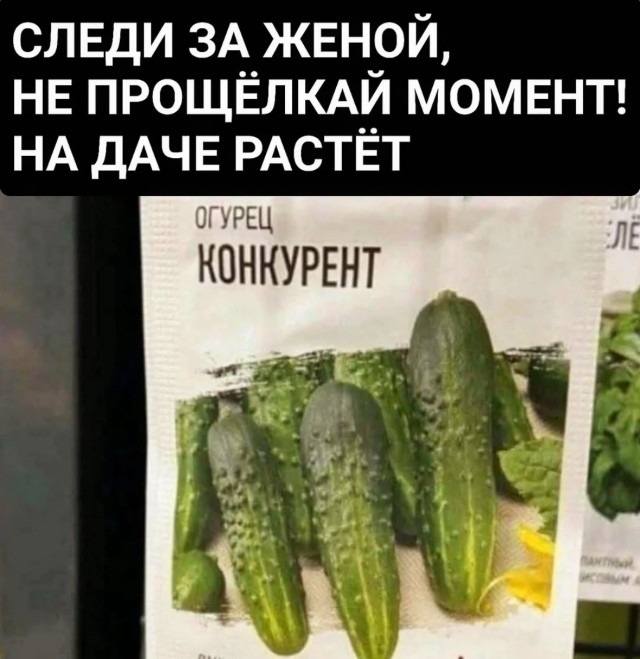 20088337.jpg