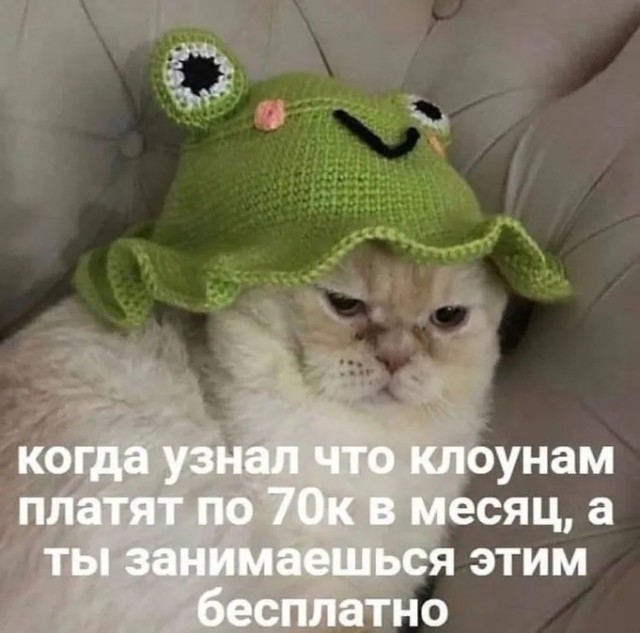 25 грустных, но жизненных мемов про зарплату