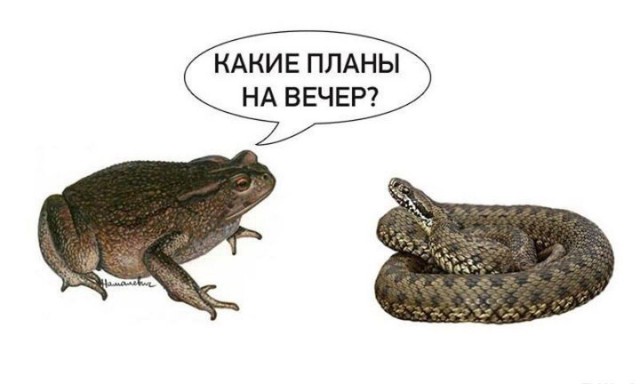 Папка с ответами