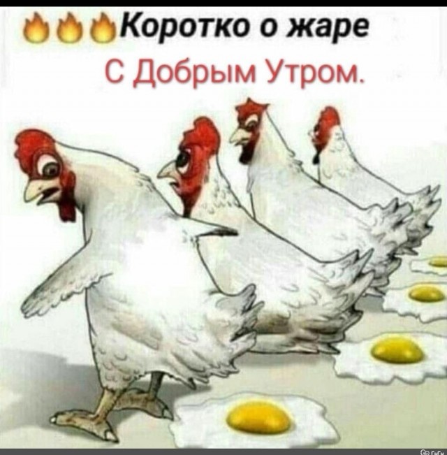 Чутка ебанины