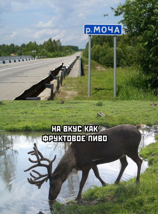 Веселые картинки в маленькую пятницу (20.08)
