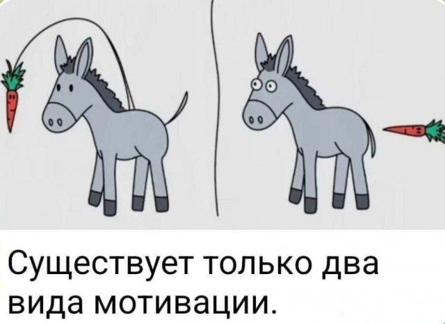 Лохотрон азон