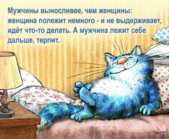Коты минской художницы Рины Зенюк. 2025 год