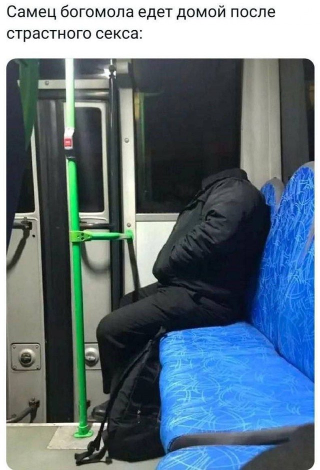 Картинки для деградации постновогодние (как салаты - разной степени свежести)