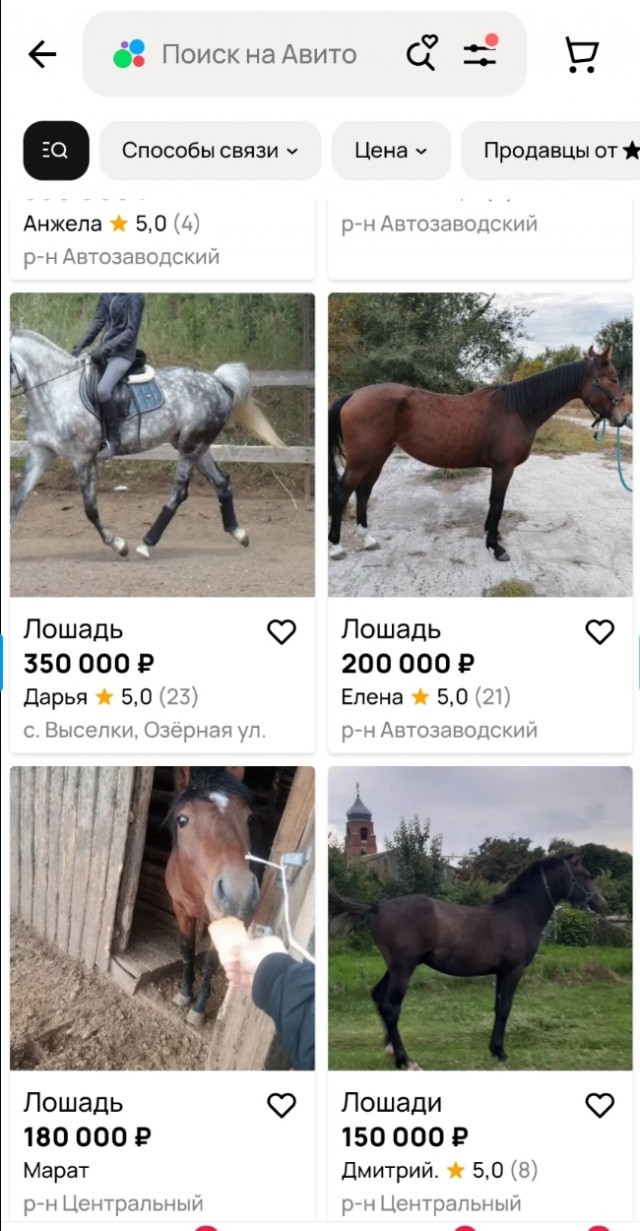 Эти чудесные создания...⁠