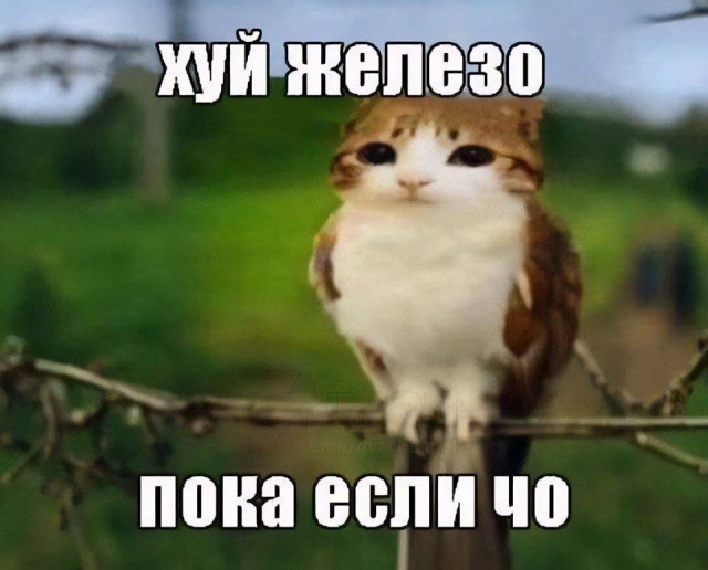 Да я и сам порою как Арина