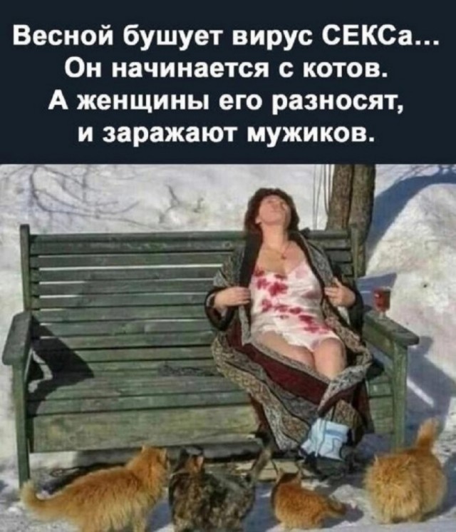 Так себе картинки 03.03.26