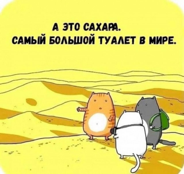 Картинки для деградации 173 (разной степени свежести)