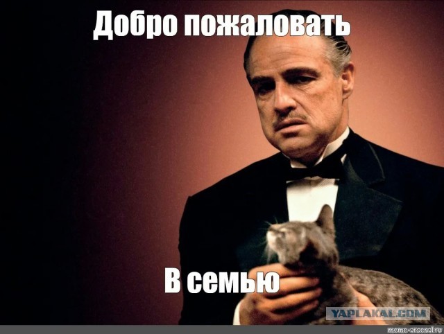 «Красный флаг» на карту. Как ФНС будет следить за переводами граждан