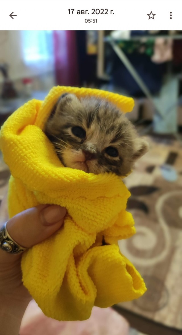 Доброе