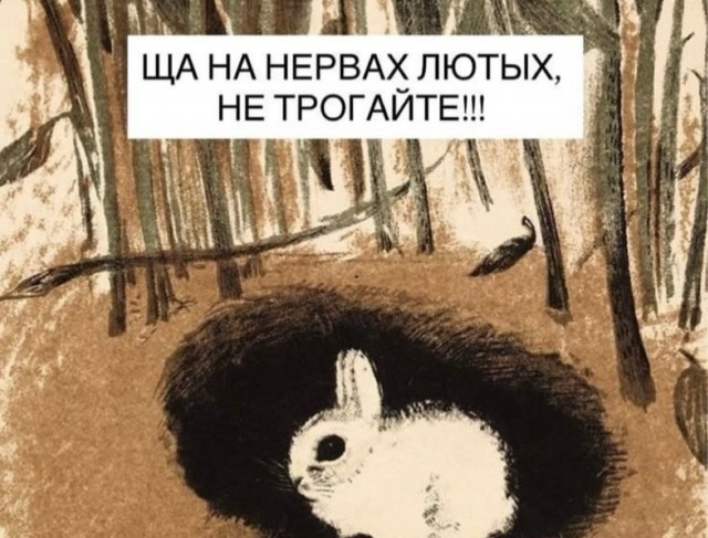 Веселое настроение в картинках 28.07.26