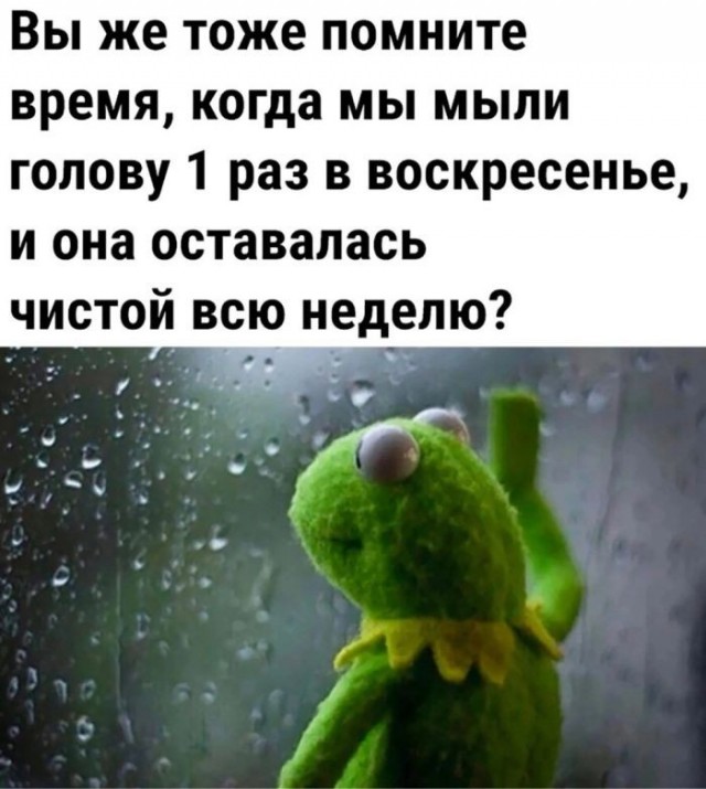 Веселые картинки в маленькую пятницу (05.08)