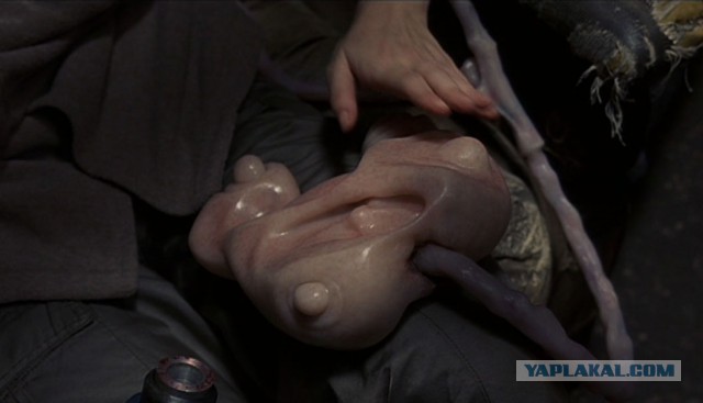 Воплощение моего чувства