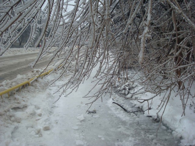 Зима, мороз и обледенение