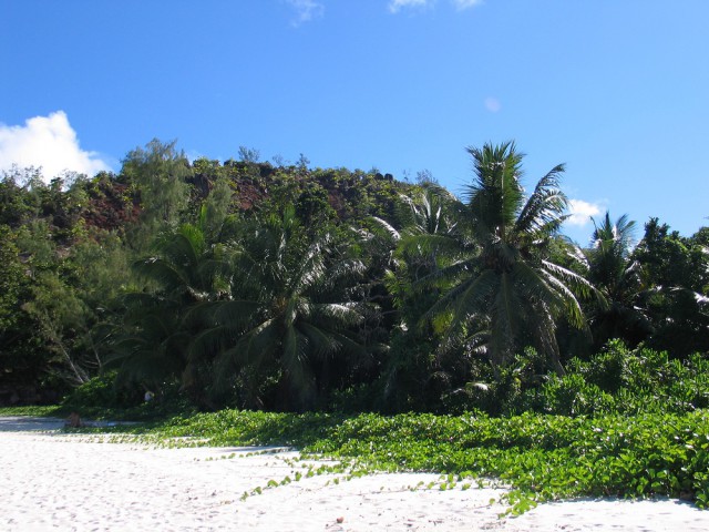 Как я съездил на Сейшелы