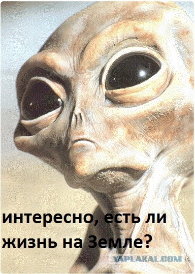 Директор NASA заявил, что на Марсе есть жизнь