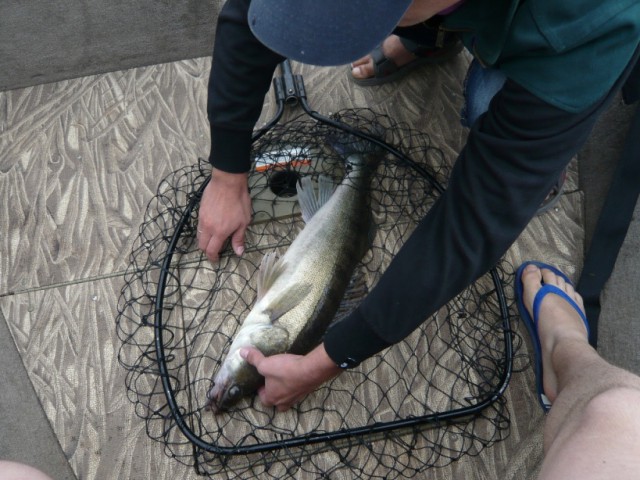 Рыбалка на Рыбинском ВДХ