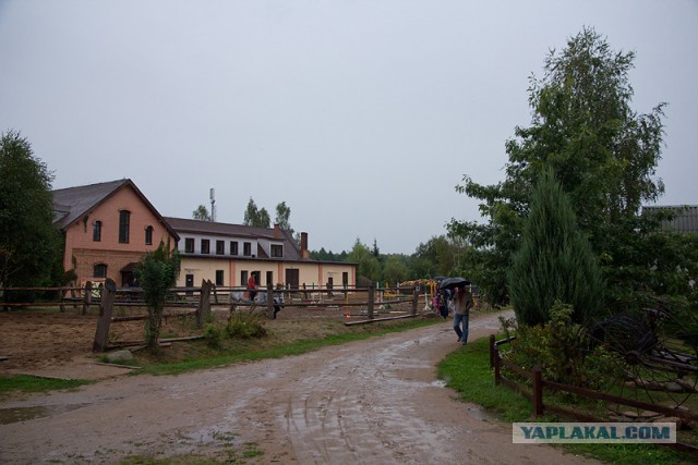 Отпуск в Беларуси