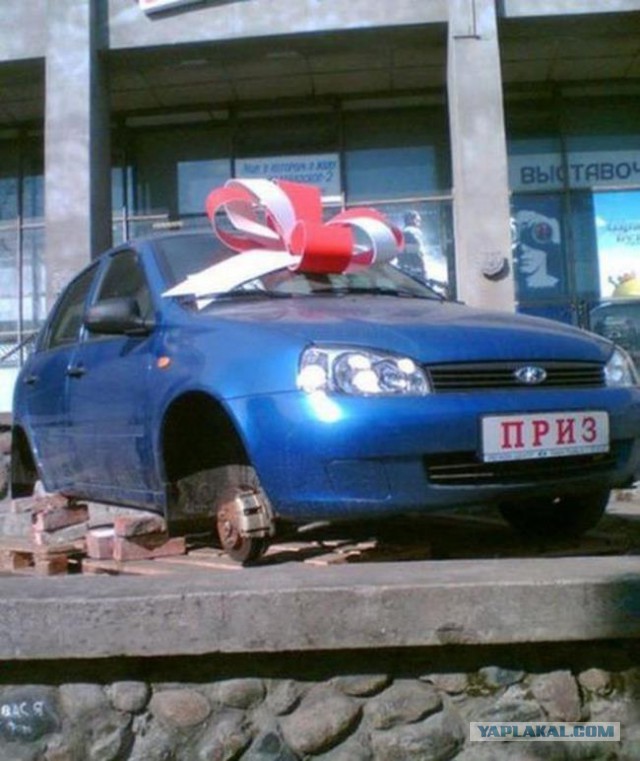 Приколы из сети