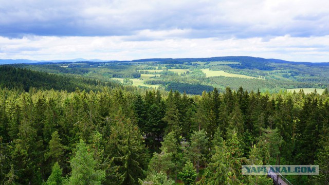 ЕвроТрип: Чехия, Австрия, Германия