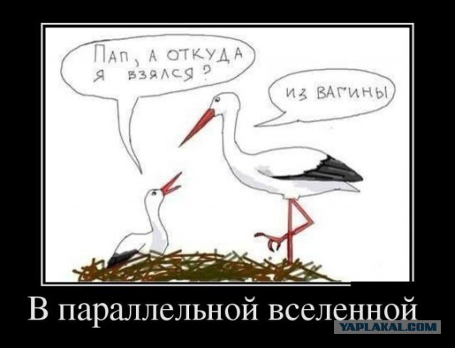 Демотиваторы