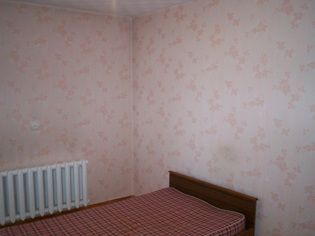 Дневник московского гастарбайтера