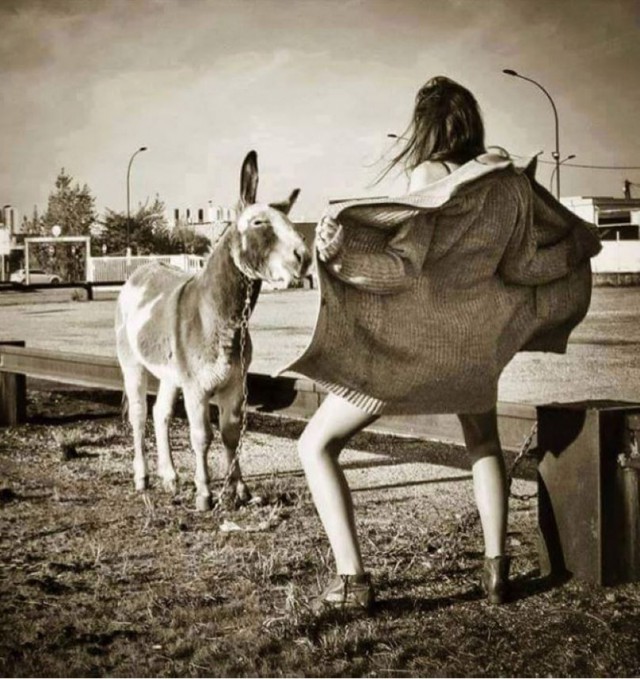 Мужские заблуждения