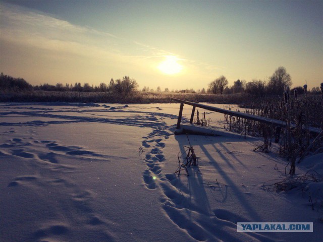 Я узнал, что у меня есть огромная семья