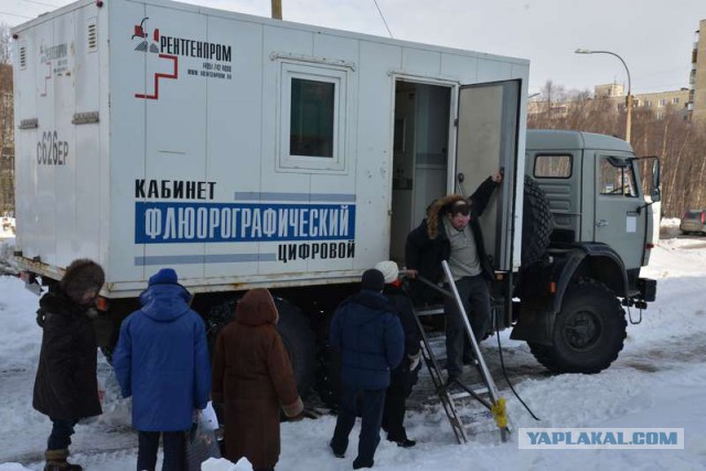Свежая подборка прикольных картинок