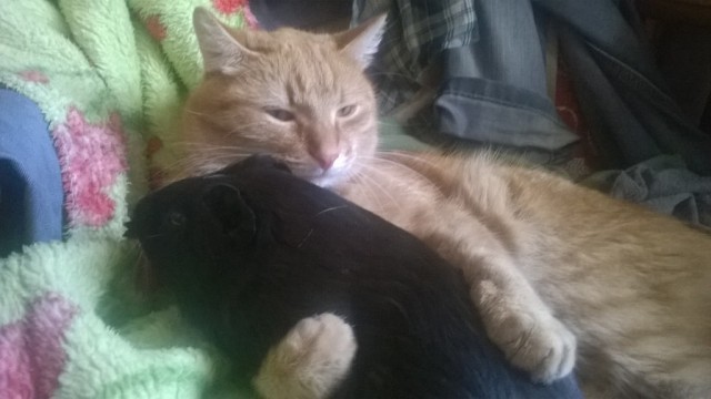 Немного охренел от такой наглости