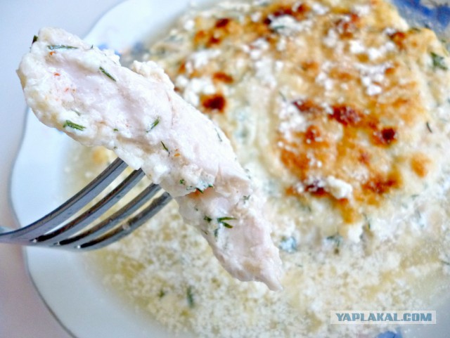 Психокулинария. День открытых дверей.