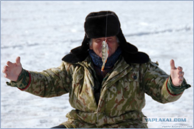 Саудовский десантник