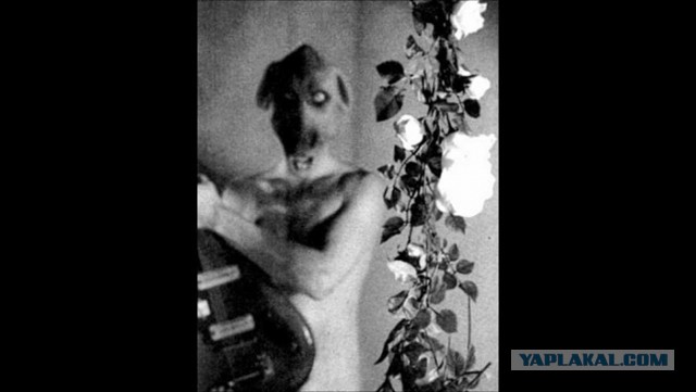 Глубинная сеть.