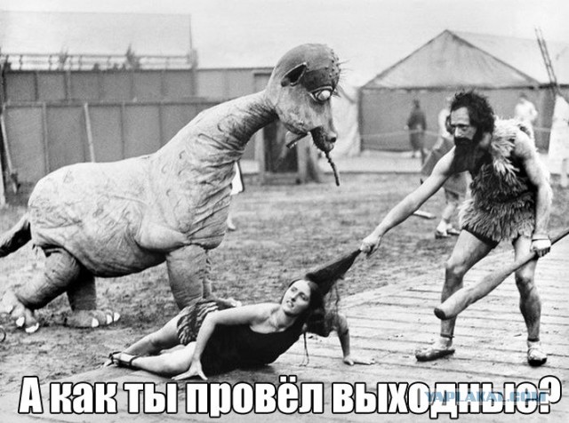 Аморальный и чёрный юмор к началу недели