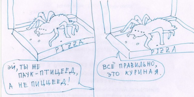 Картинки из инета.