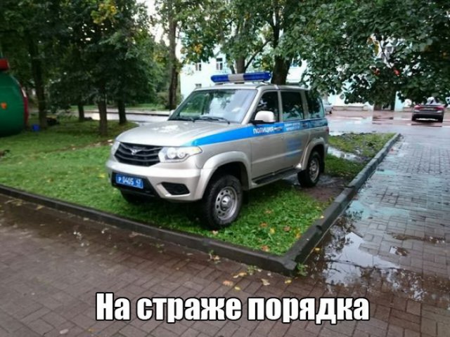 130 картинок для поднятия настроения!