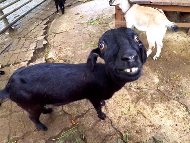 Полтора месяца безделья или "Первое семейное бюджетное путешествие"