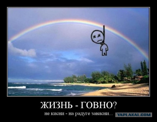 У жизни нет смысла