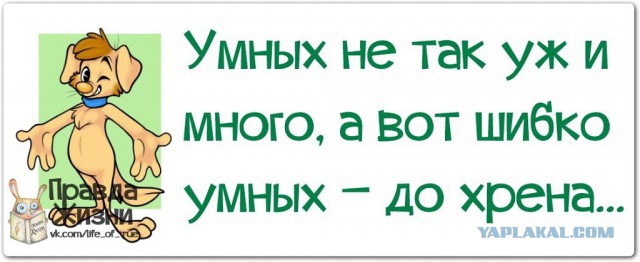 Цены на бензин в России могут вырасти на 5,3% 