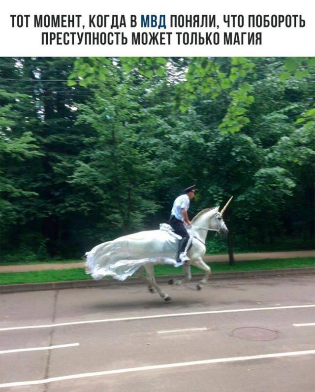 Не очень адекватный юмор