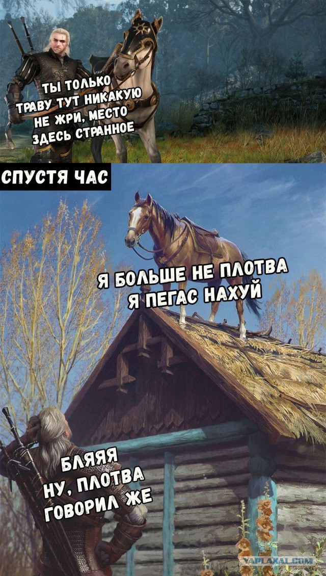 Нестандартный юмор