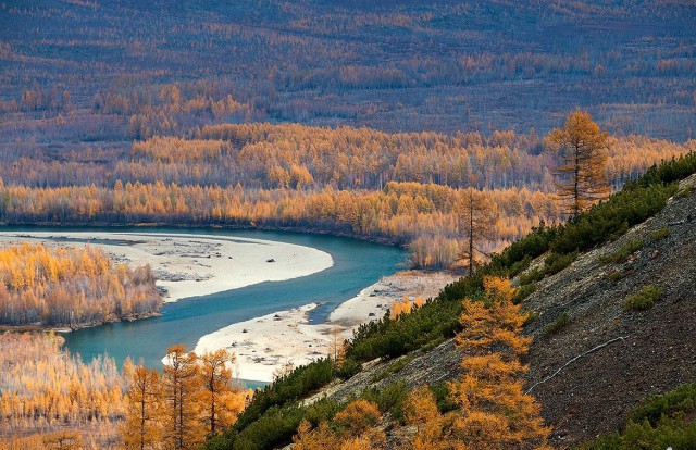 Осенняя тайга