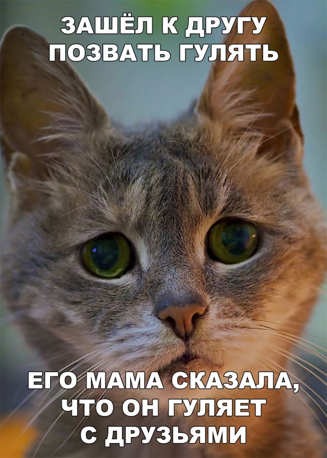 Прикольные картинки абавсём