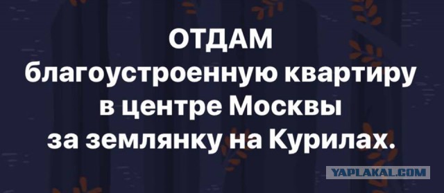Им там виднее. Южные Курилы всё-таки станут "северными территориями"?