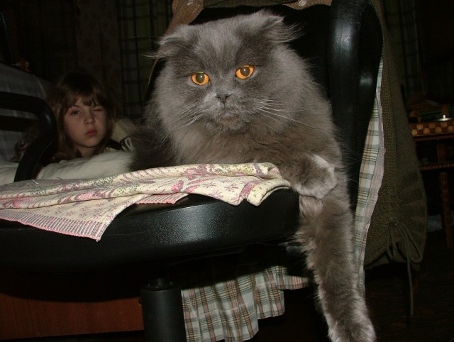 Котовторник 20.03.2012