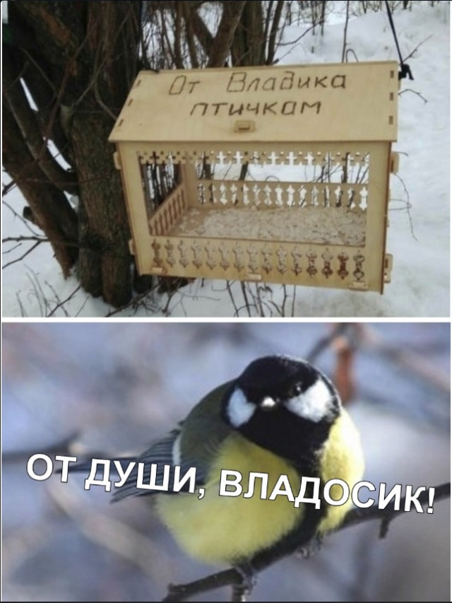 Нестандартный юмор