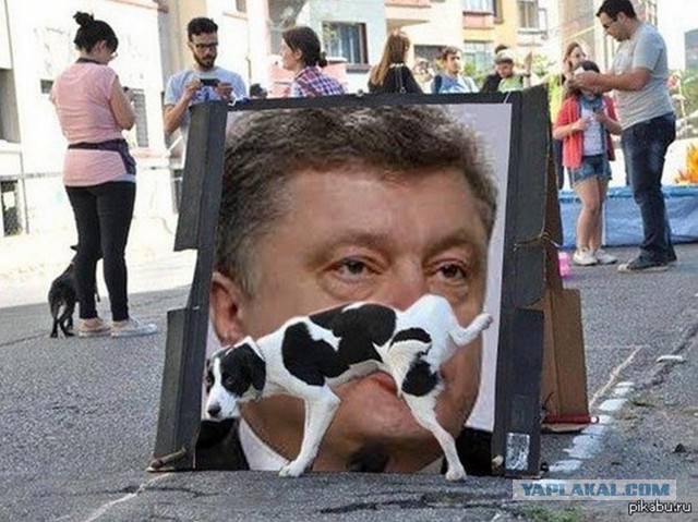 На Украине начались президентские выборы