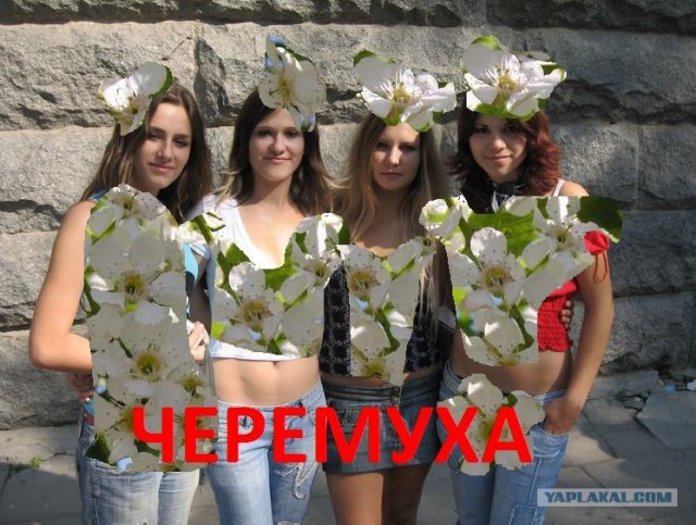Новое уникальное реалити-шоу "Пудра"