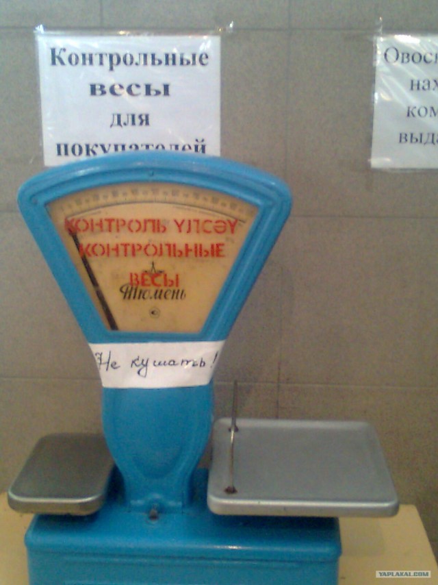 Скрипичный ключ в шоке