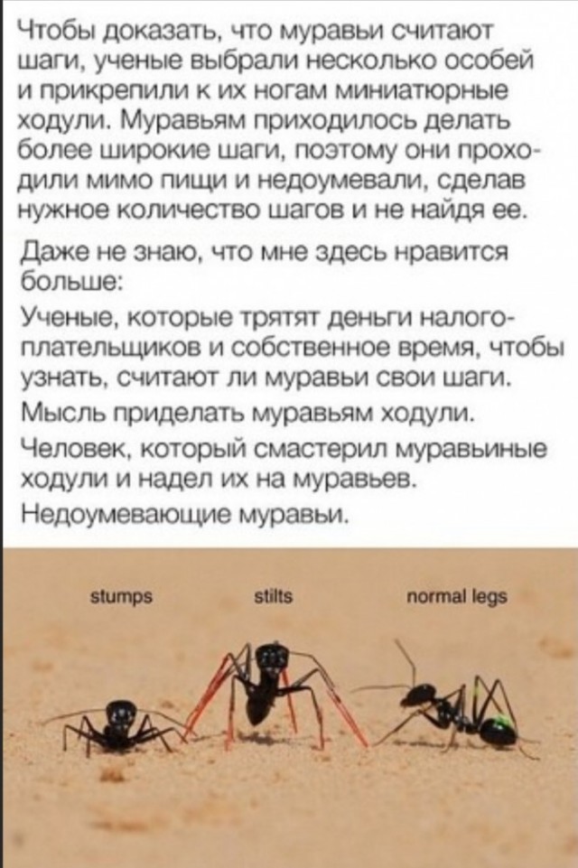 Бредзона 27.01.2020